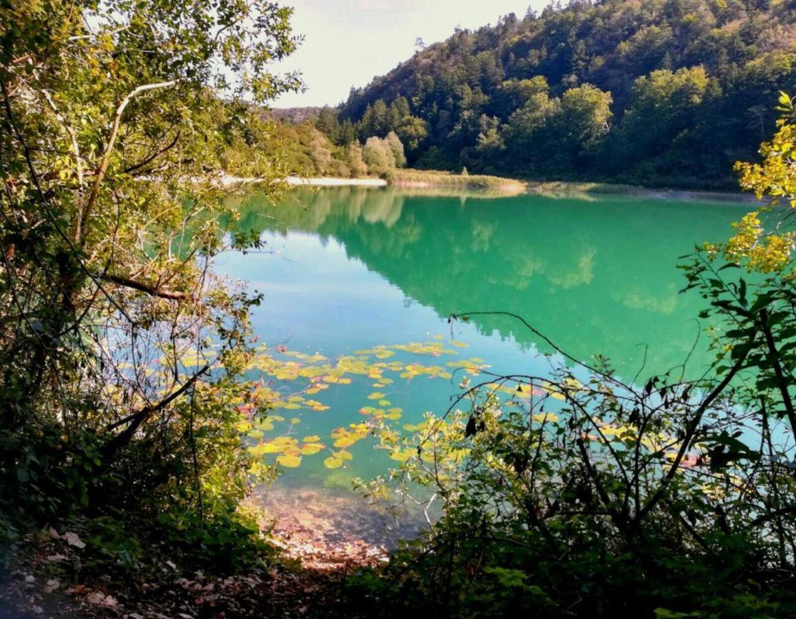 Artedimarco Daire Terlago Dış mekan fotoğraf